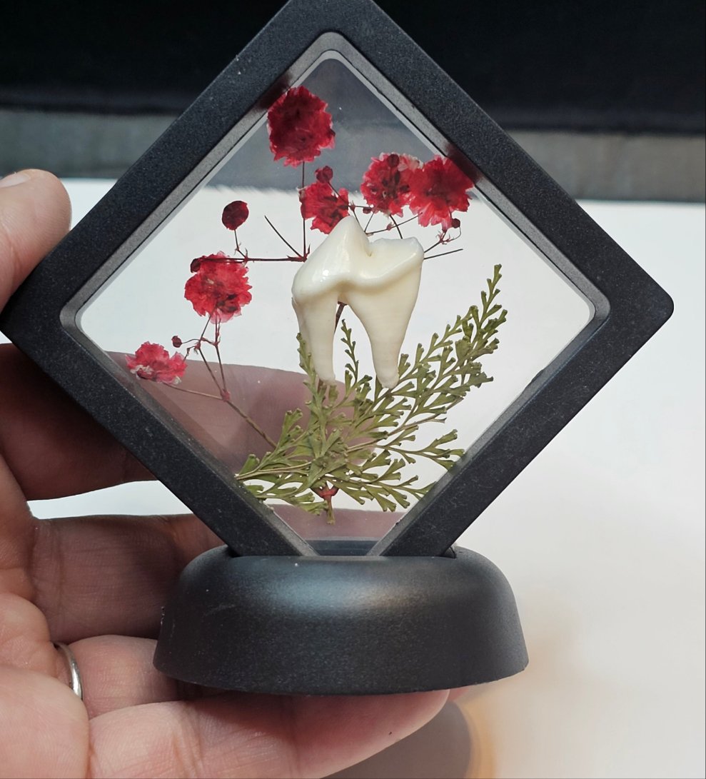 Red Flower Coyote Tooth in floating frame