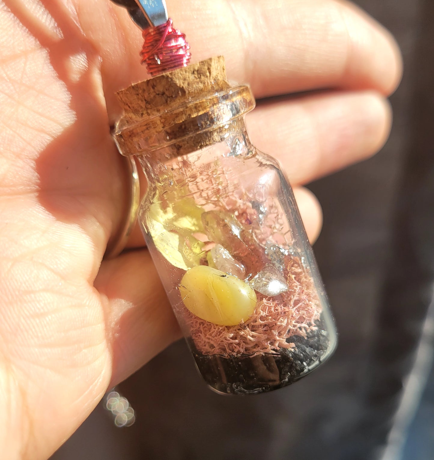 Real Butterfly Wing Glass Vial Pendant