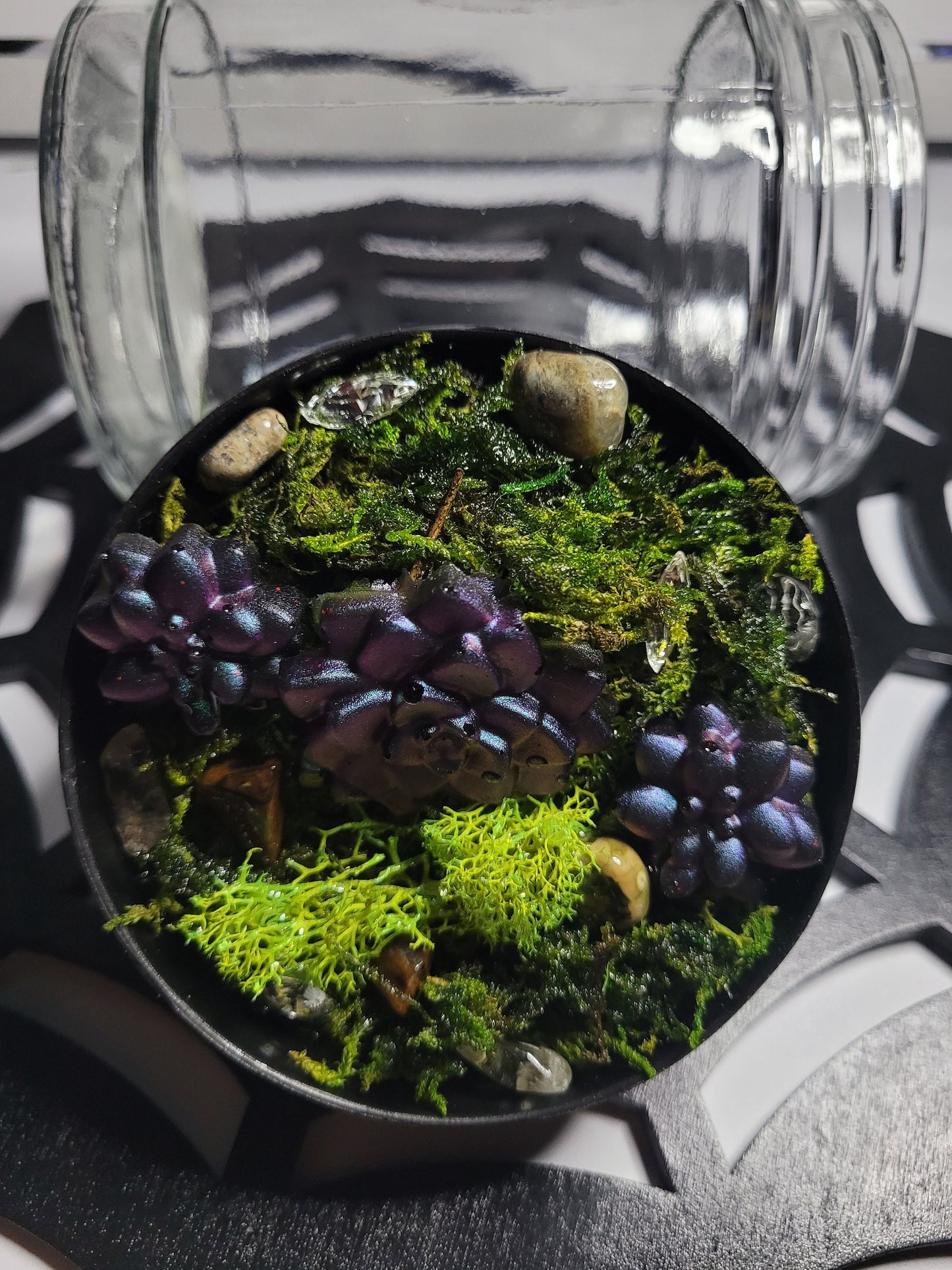 Succulent Garden Inspired Glass Stash Jar