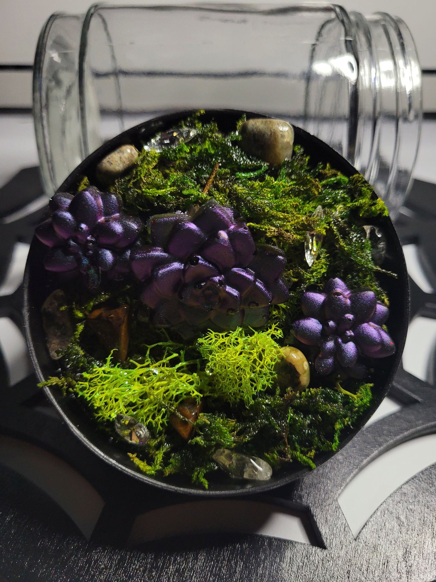 Succulent Garden Inspired Glass Stash Jar