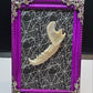 Racoon Jaw in small frame
