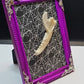Racoon Jaw in small frame