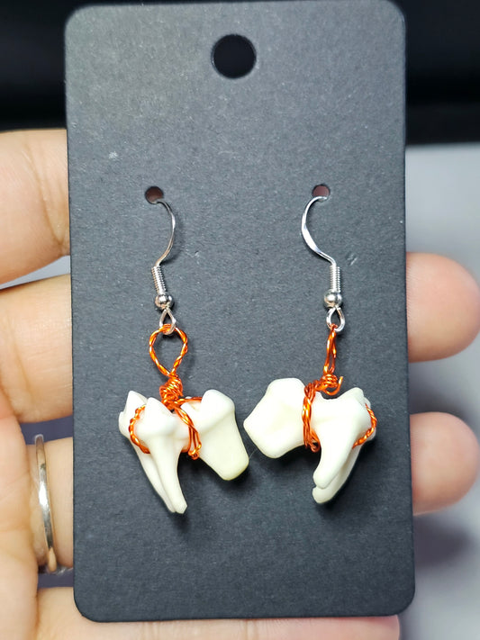 Coyote Teeth Wire Wrapped Earrings