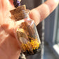 Real Butterfly Wing Glass Vial Pendant