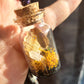 Real Butterfly Wing Glass Vial Pendant