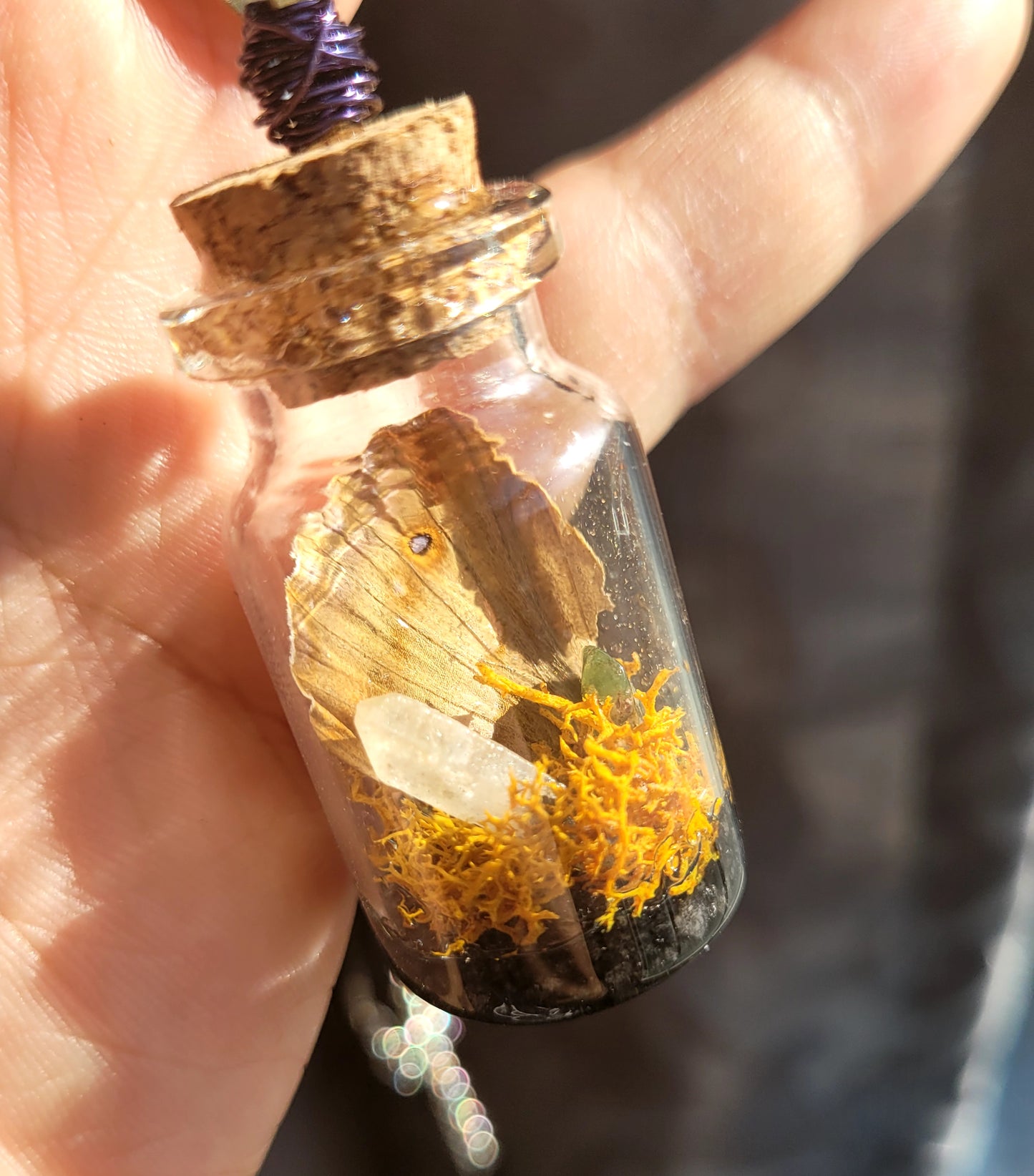 Real Butterfly Wing Glass Vial Pendant