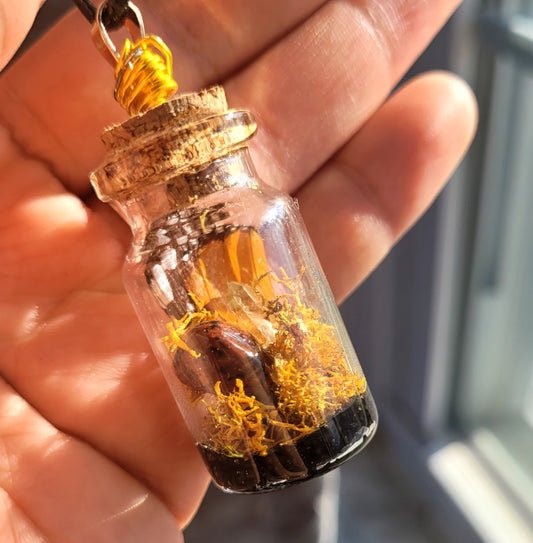 Real Butterfly Glass Vial Pendant