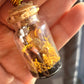 Real Butterfly Glass Vial Pendant