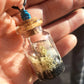 Real Butterfly Wing Glass Vial Pendant