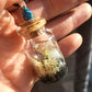 Real Butterfly Wing Glass Vial Pendant