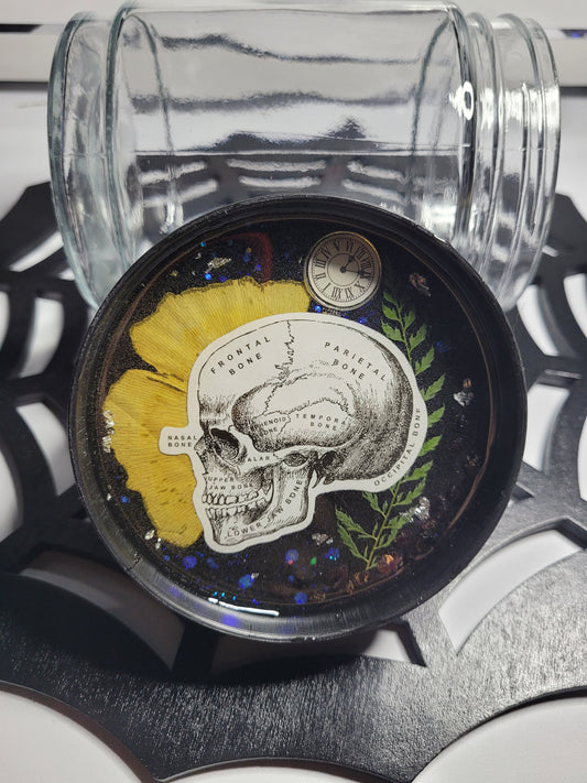 Anatomical Skull Glass Stash Jar