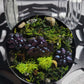 Succulent Garden Inspired Glass Stash Jar