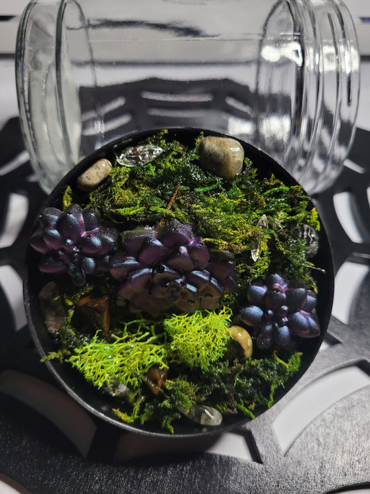 Succulent Garden Inspired Glass Stash Jar